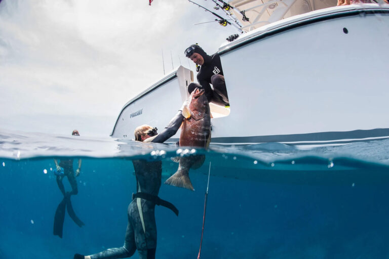 This one didn't get away! This one didn't get away!