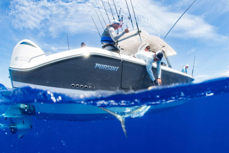 Out fishing on a Pursuit Out fishing on a Pursuit