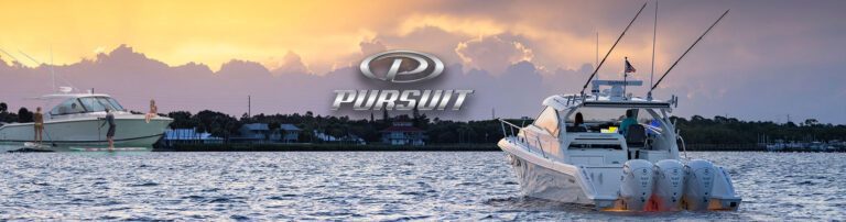 Pursuit Top Image 768x202