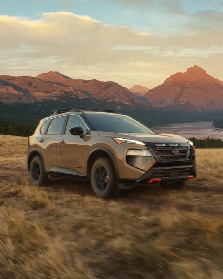 You can't go wrong with a Rogue for offroad adventures.