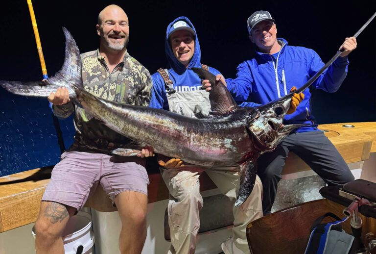 Fish Northeast Henry Swordfish 768x518