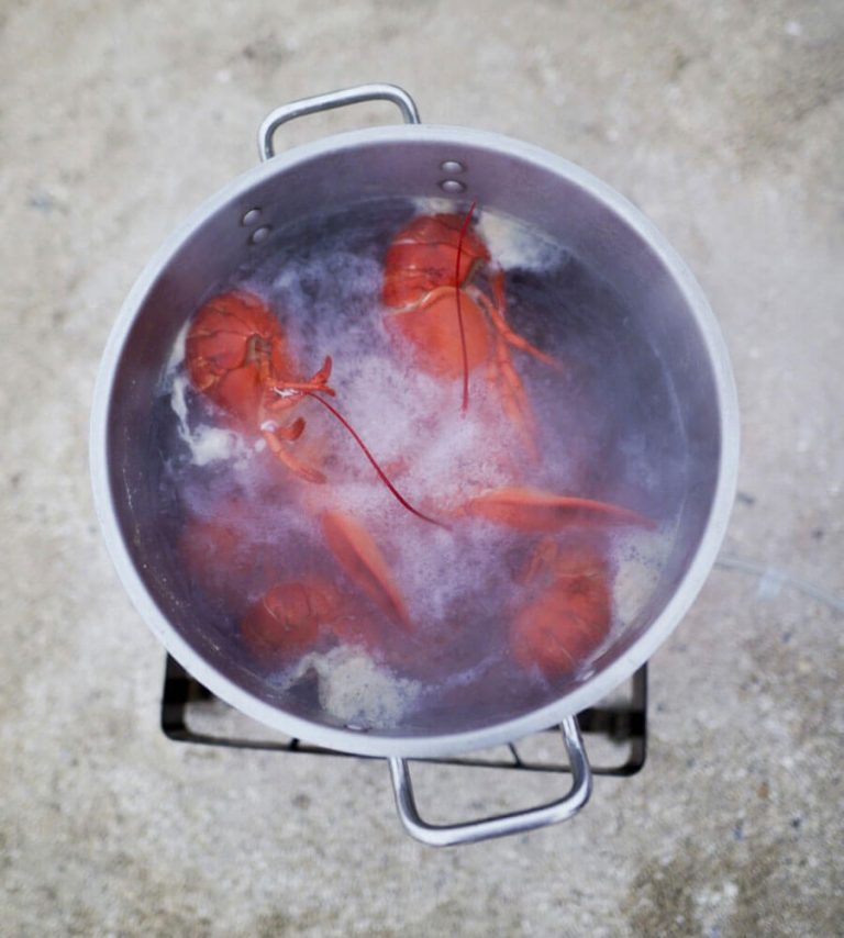 ENE Lobster bake 768x854