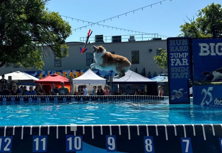 Attend one of our many events. Attend one of our many events.