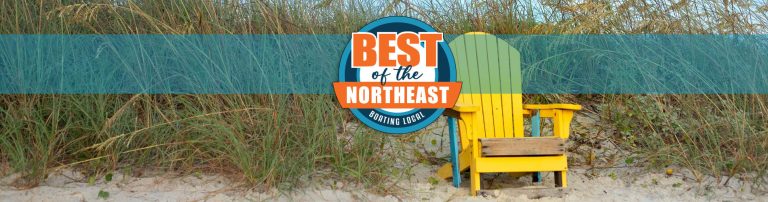 Miscellaneous Topper Final 10 768x202