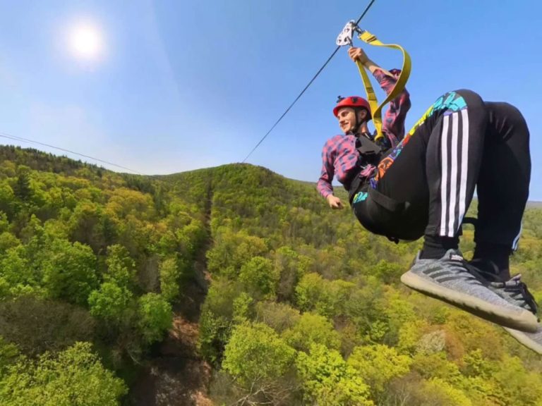 Zipline Homepage Resized dc996c1c 768x576