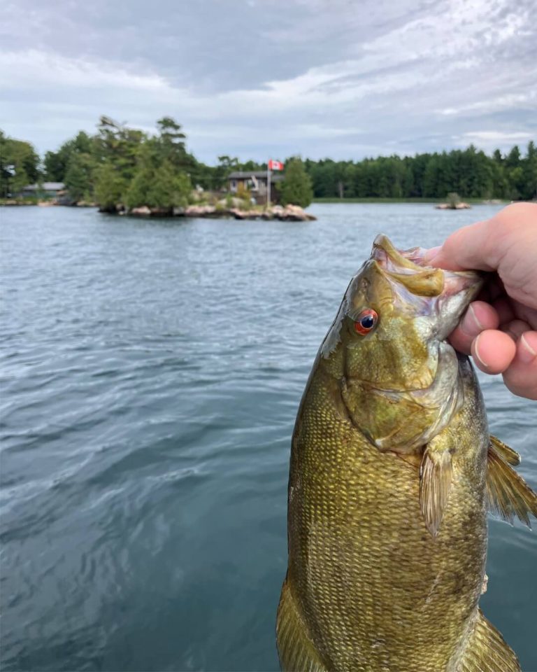 481053741 950690157240539 2328822652766989952 n 768x960