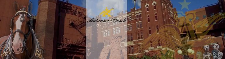 Anheuser Busch top image 768x202