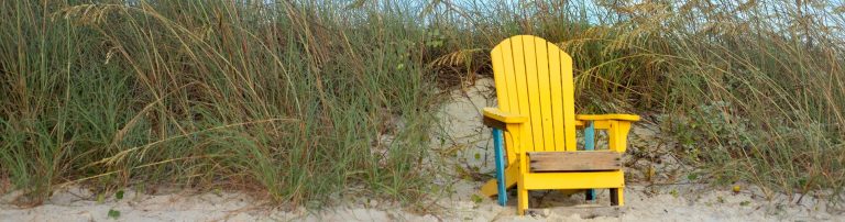 miscellaneous topper 5 768x202