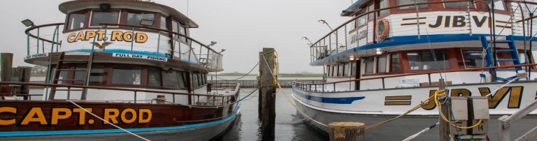 boat rentals and charters topper 1 768x202